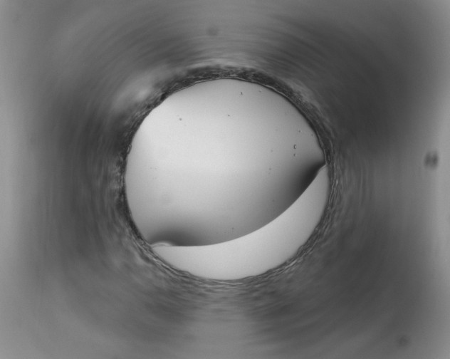 X0000112861110200909111502