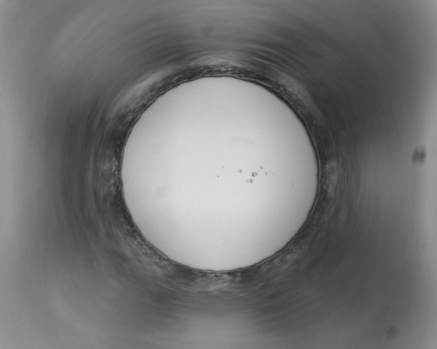 X0000112861111200909111502