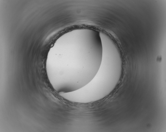 X0000112861112200909111502