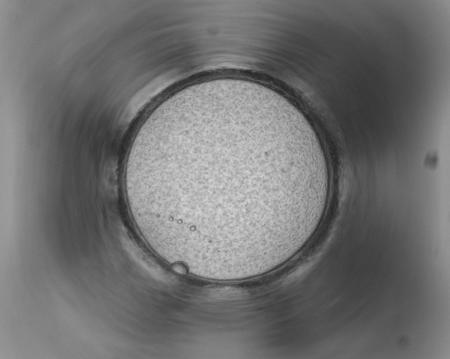 X0000112861113200909111502