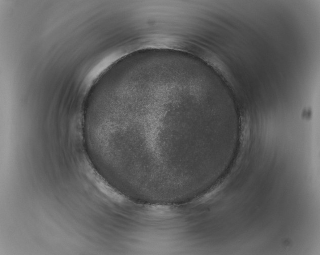 X0000112861114200909111502