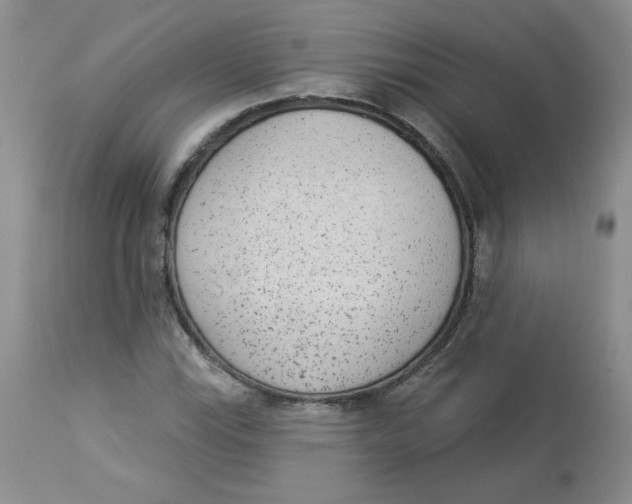 X0000112861115200909111502