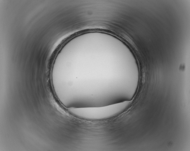 X0000112861116200909111502