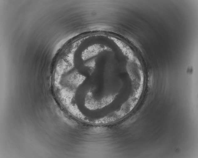 X0000112861117200909111502