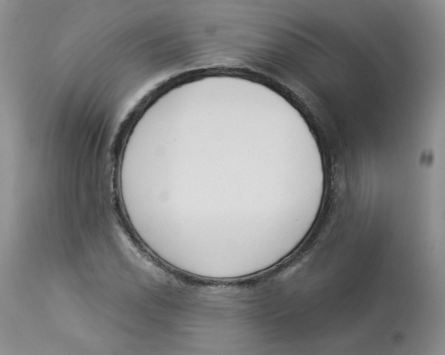 X0000112861118200909111502