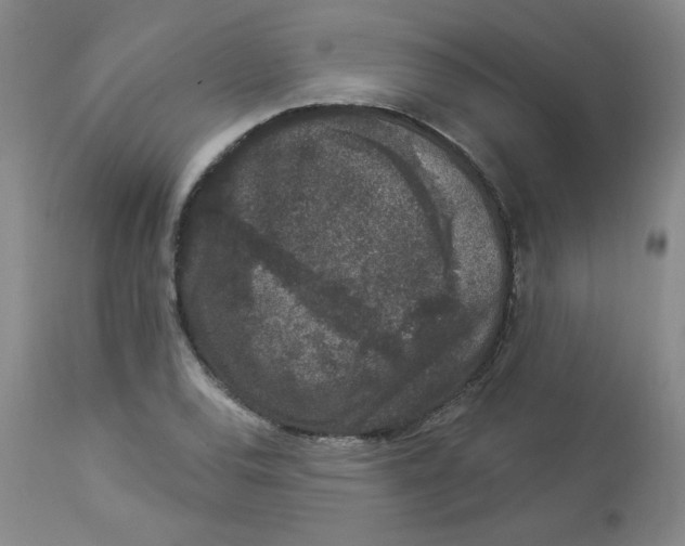 X0000112861120200909111502