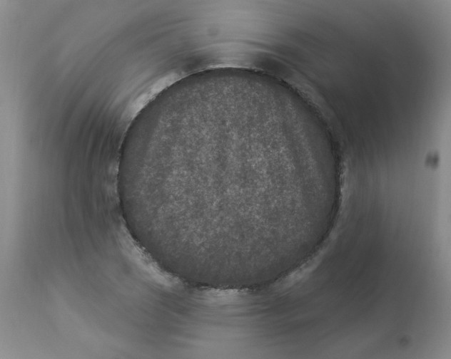 X0000112861121200909111502