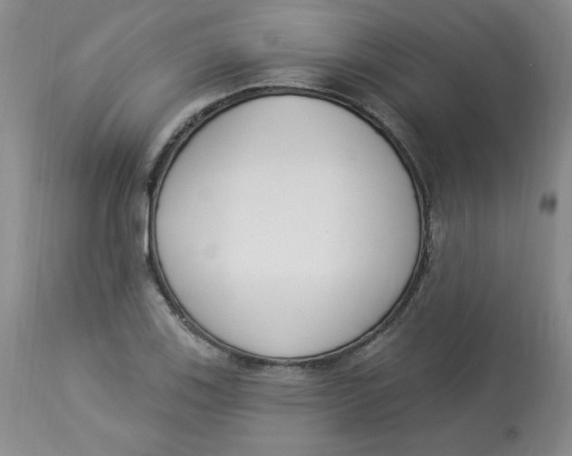 X0000112861123200909111502