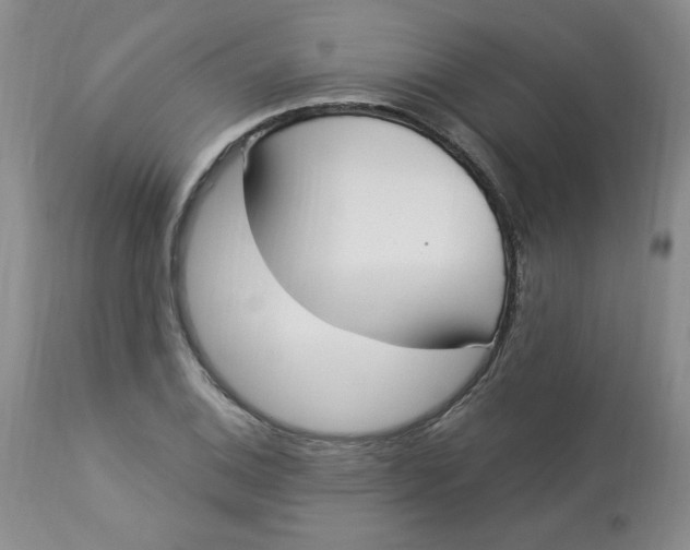 X0000112861124200909111502