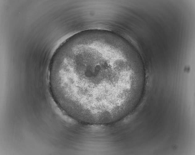 X0000112861125200909111502