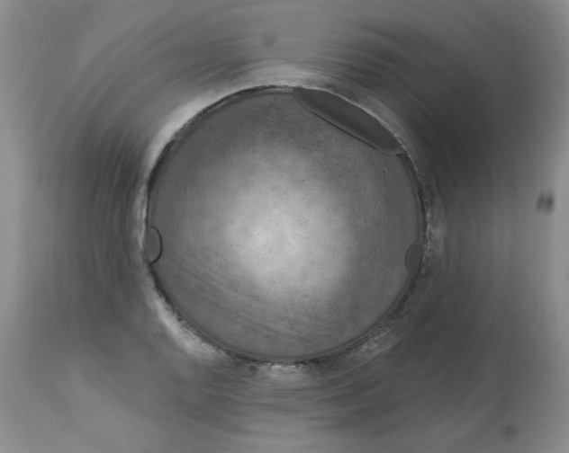 X0000112861128200909111502