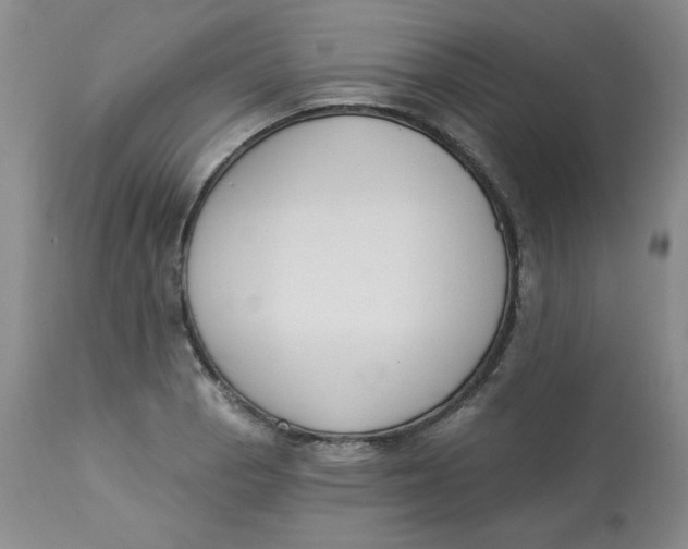 X0000112861129200909111502