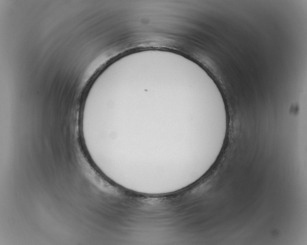 X0000112861130200909111502