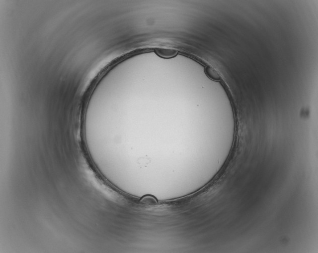 X0000112861131200909111502