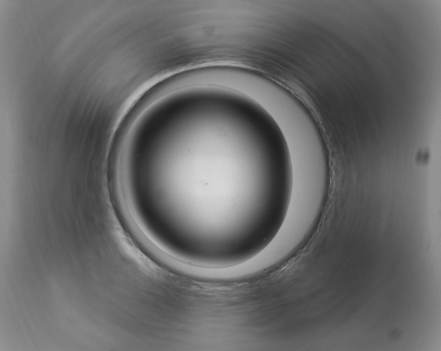 X0000112861132200909111502