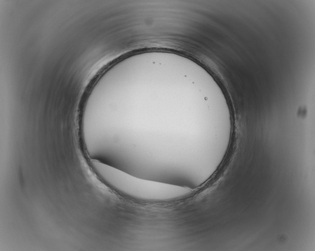 X0000112861133200909111502