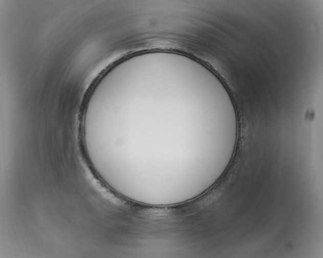 X0000112861134200909111502