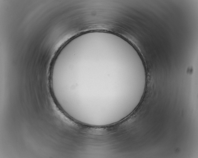 X0000112861135200909111502