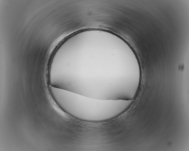 X0000112861136200909111502