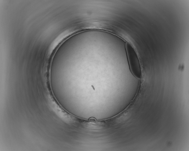 X0000112861138200909111502