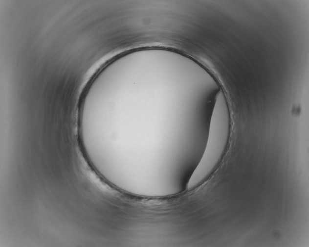 X0000112861140200909111502