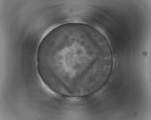 X0000112861141200909111502