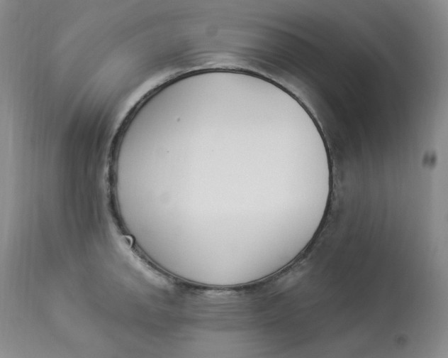 X0000112861142200909111502