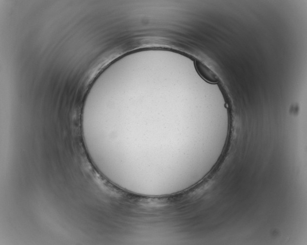 X0000112861145200909111502