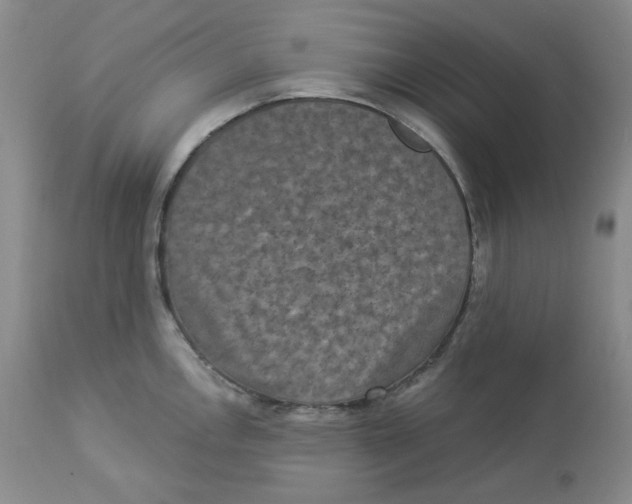 X0000112861146200909111502