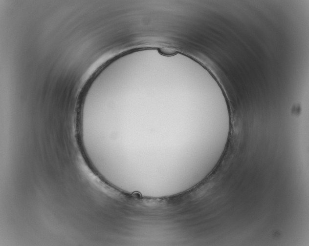 X0000112861147200909111503