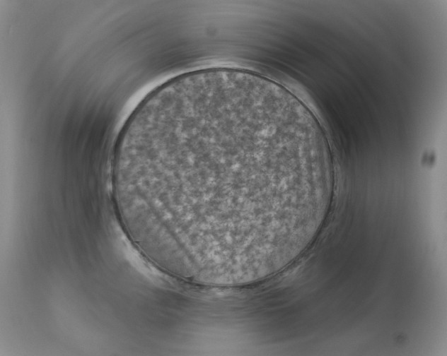 X0000112861148200909111503