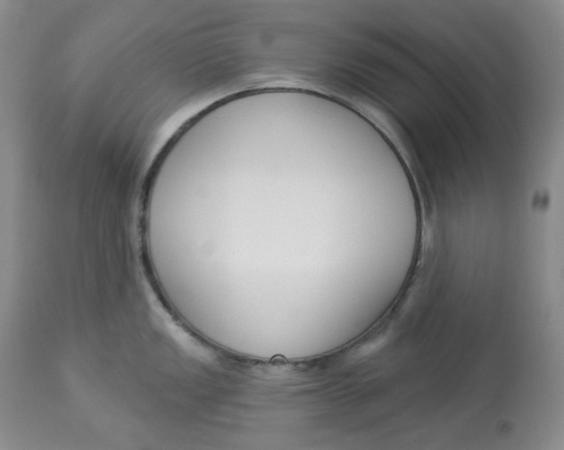 X0000112861149200909111503