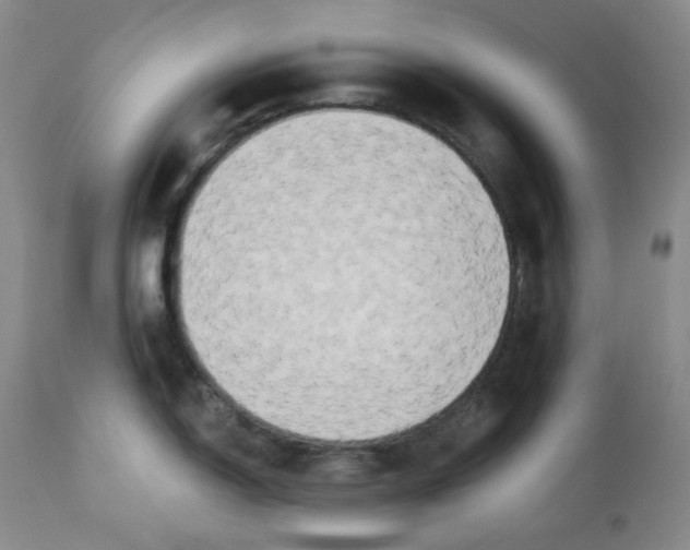 X0000112861150200909111503