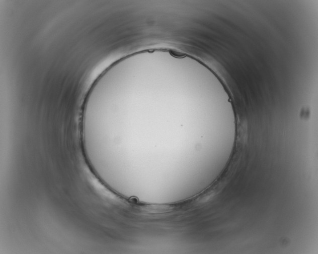 X0000112861151200909111503