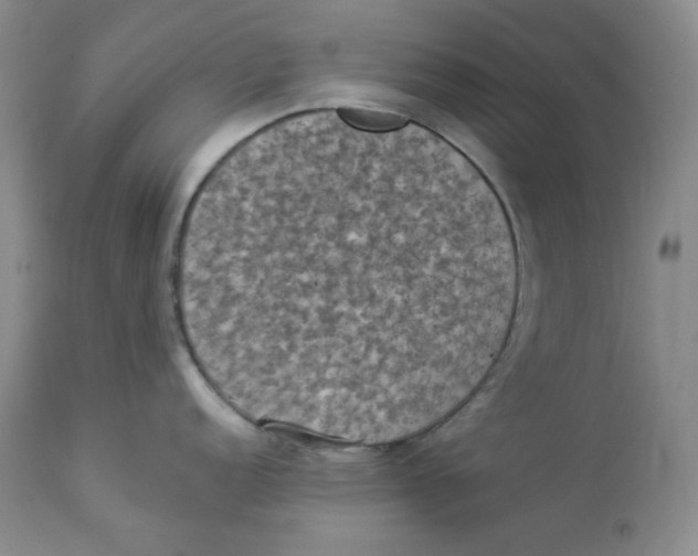 X0000112861152200909111503