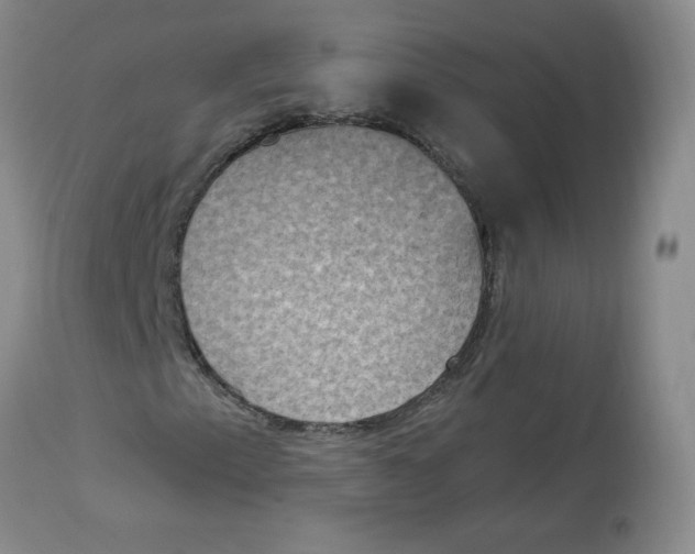 X0000112861153200909111502