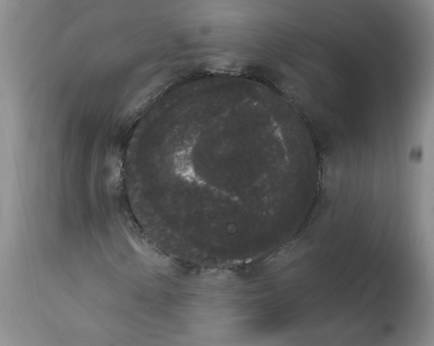 X0000112861154200909111502