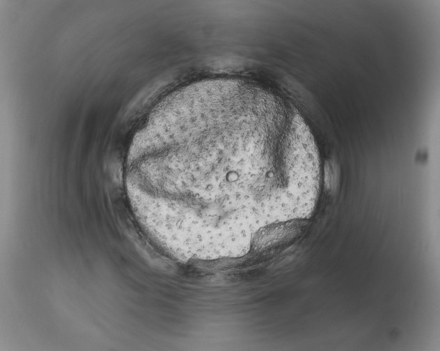 X0000112861155200909111502