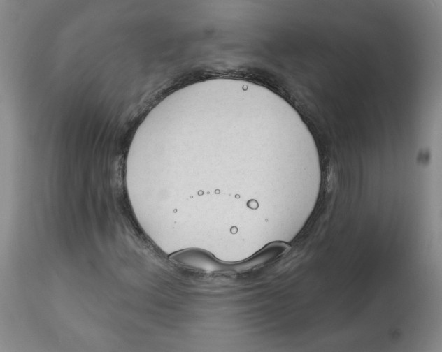 X0000112861156200909111502