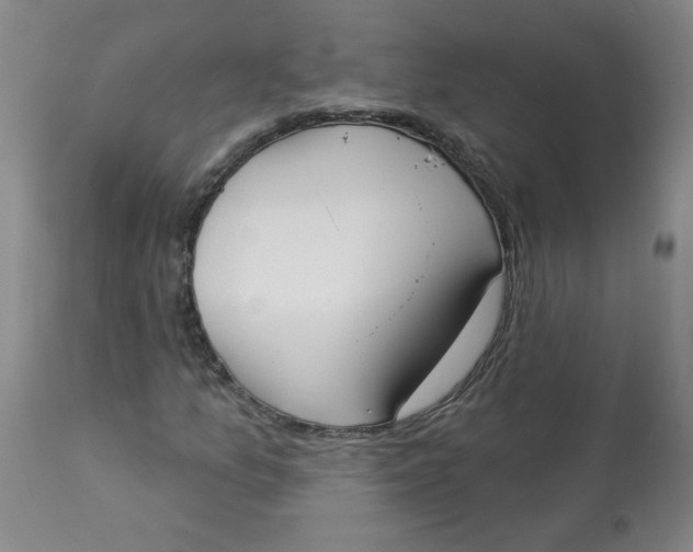 X0000112861157200909111502