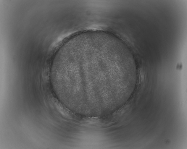 X0000112861158200909111502