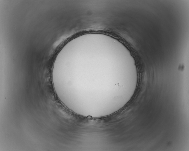 X0000112861160200909111501