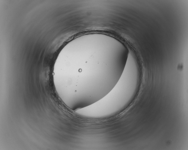 X0000112861161200909111501