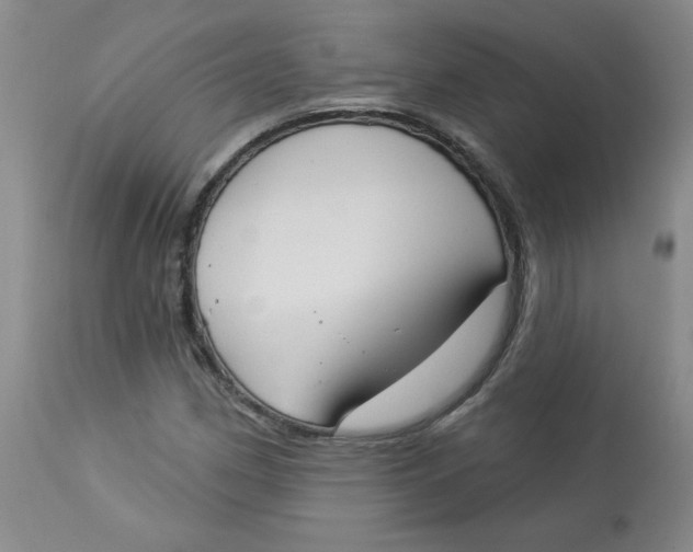 X0000112861162200909111501