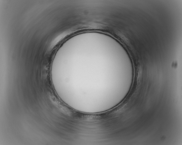 X0000112861163200909111501