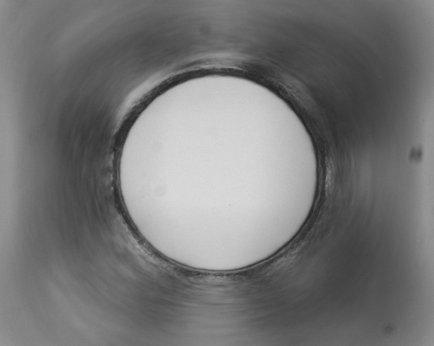 X0000112861164200909111501