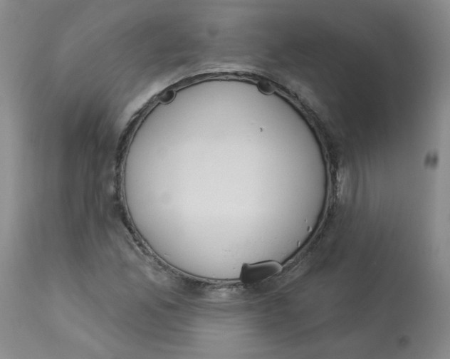 X0000112861165200909111501