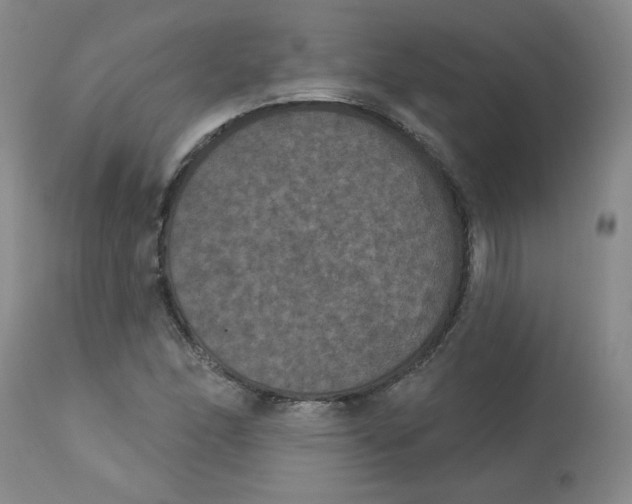 X0000112861166200909111501