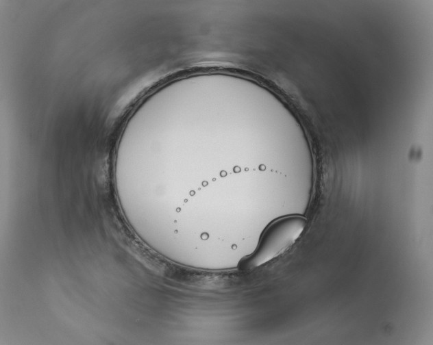 X0000112861167200909111501