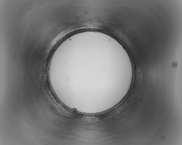 X0000112861168200909111501